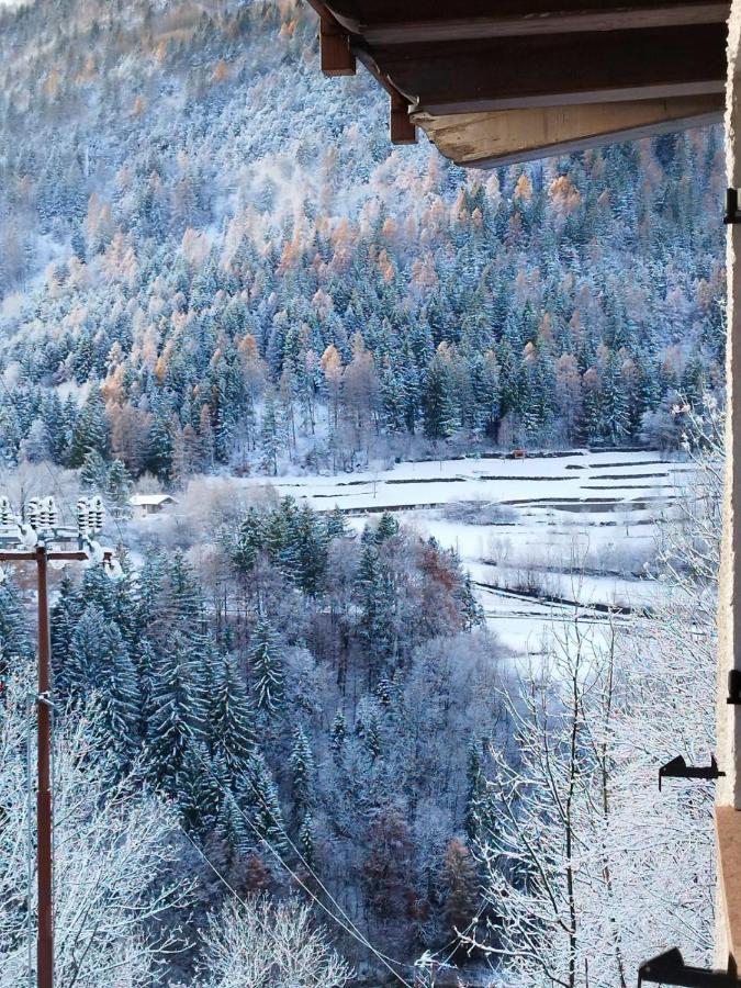 Appartamento Altipiano Pine 2 Bedollo Dış mekan fotoğraf
